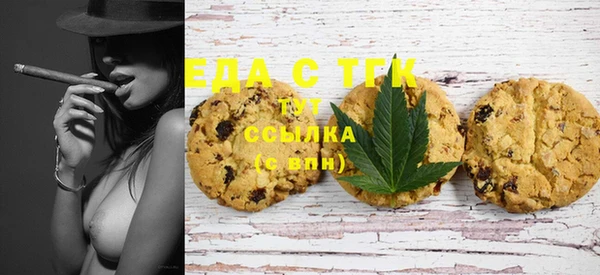тгк Туринск